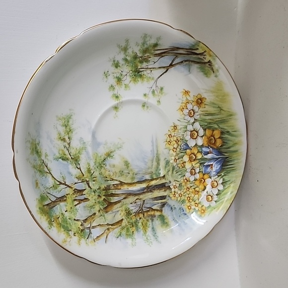Shelley Bonę China, Daffodil Time Cup and Saucer, very rare collectible - Picture 3 of 8